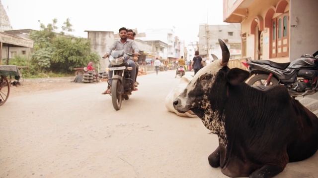 ЧОМУ КОРОВА ДАЄ МОЛОКО смотреть онлайн