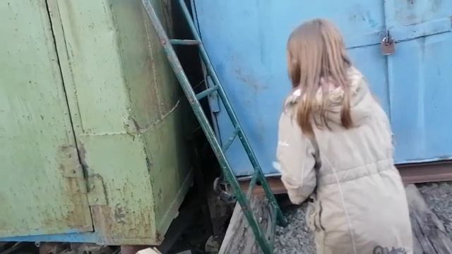 Косиножка пугает Васю смотреть онлайн