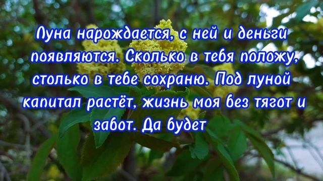 Обязательно избавьтесь от этой вещи, и деньги будут всегда