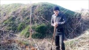 Ряска малая - разведение. Часть 1.