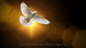 Long Live Don Bosco | Vive Saint John Bosco