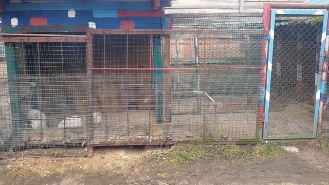 Встреча с друзьями на базе отдыха Солонцово смотреть онлайн