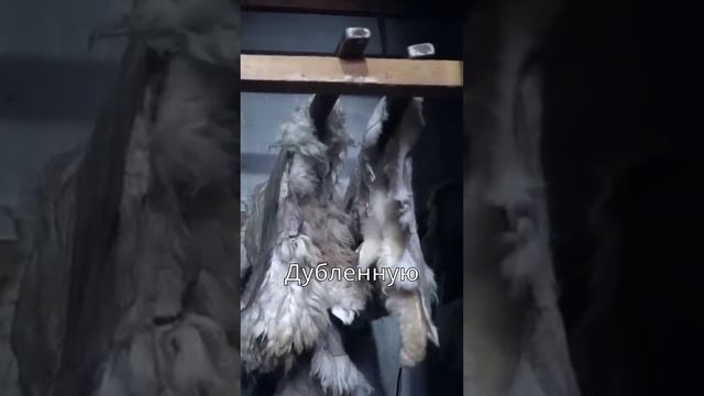 Выделка шкуры