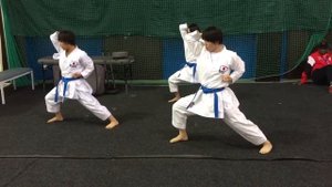 Женская сборная Японии по ката. Разминка.mp4