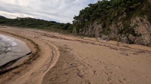 Бухта Заря Приморский край Лазовский заповедник (часть 2)