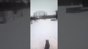 1 Испытания К6А на снегоходе тайга