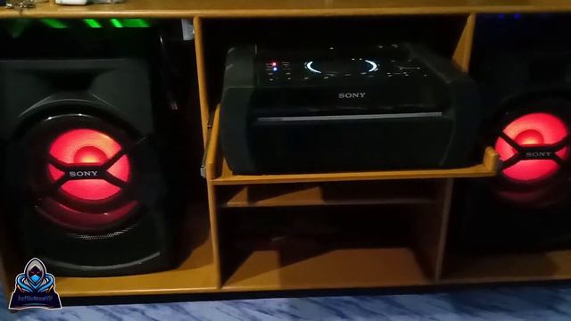 Sony Shake X30D