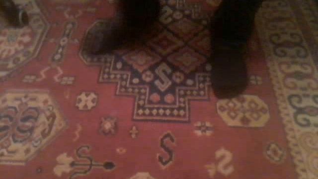 Самые вонючие носки!!! смотреть онлайн