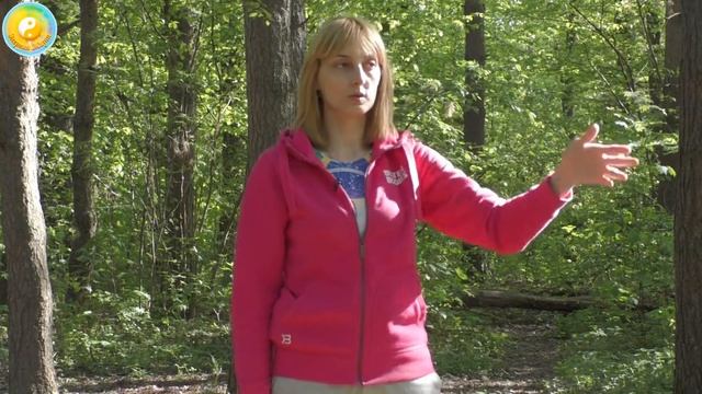 Техника сброса негативной энергии смотреть онлайн