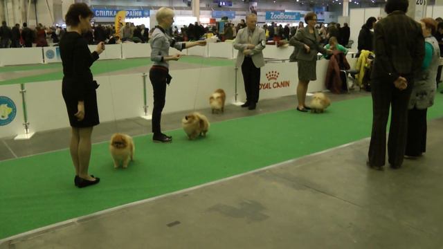 СРАВНЕНИЕ НА ВОВ смотреть онлайн