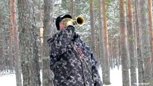 Звук горна