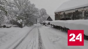 Снежная буря парализовала движение транспорта в странах Европы - Россия 24