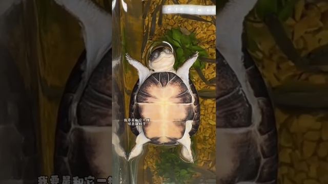 Настроение