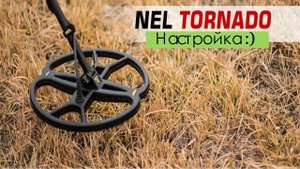 ( Nel Tornado ) заводские настройки Garrett ACE 250 Настройка катушки перед копом