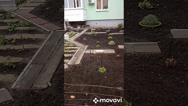 Клумбы в городе, ухаживает мужчина!
