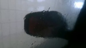 Портальная мойка