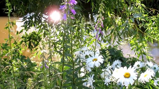 Разляди сквозь боль 2 песня Поёт Надежда Кудрина, слова Галины Пятисотских смотреть онлайн