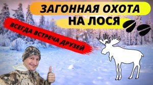 Ещё один загон на лося!  Another moose!