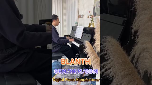 BLANTH digital piano