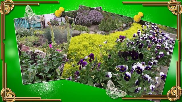 Приглашаю в мой сад, огород! смотреть онлайн