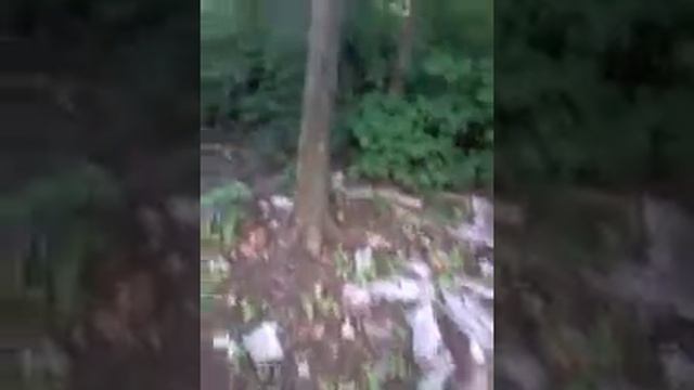 Как вызвать Слендермена. (Я в шоке!) смотреть онлайн