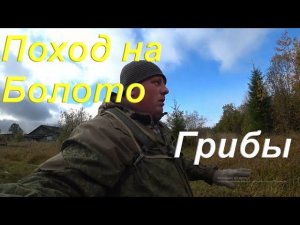 Поход на болото/ Сбор грибов/Подберёзовик или подосиновик/Багульник душистый/Жизнь в деревне