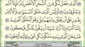 Коран. Сура Йасин (Ясин) № 36. Аяты 78-83 (до конца). #коран #ислам #таджвид