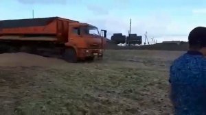 Цапки сегодня