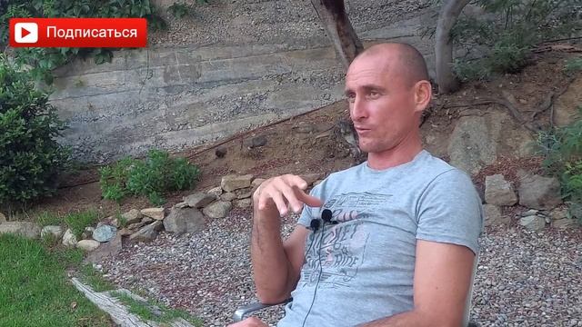 Как питаться вегетарианцу, чтобы оставаться бодрым и энергичным смотреть онлайн