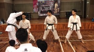 Budo Karate part 3 : technique, stance and posture - Naka Sensei JKA Malaysia Gashukku 2019