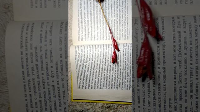ASMR читаю книгу "Заколдованный лес" часть 6 смотреть онлайн