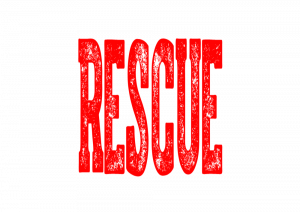 Rescue Biography