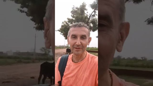 Что делать в сложной ситуации? смотреть онлайн