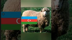 Национальные животные стран!