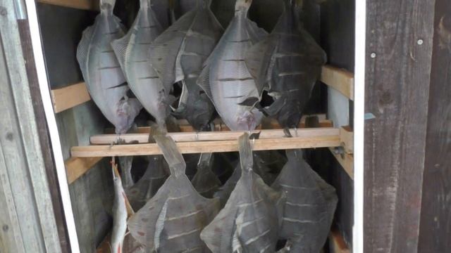 Рецепт приготовления камбалы для копчения смотреть онлайн