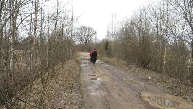 Лампово Поселок 30 04 18 смотреть онлайн