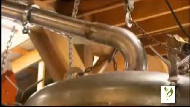 Nepeta cataria Essential Oil Producer смотреть онлайн