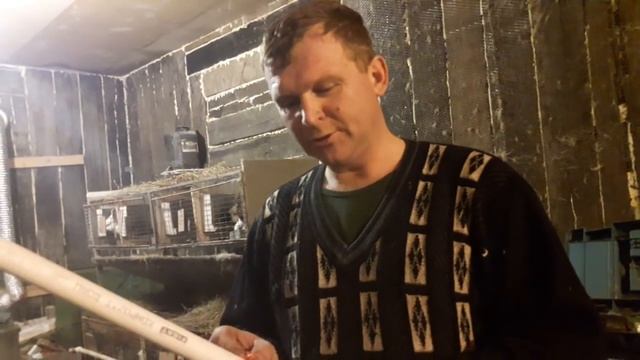 Ниппельное поение смотреть онлайн