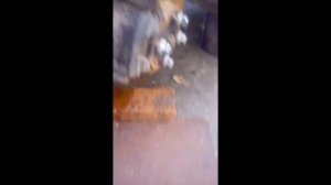 Замена передних тормозных колодок на Geely SL