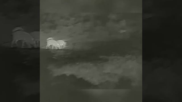 Probando monocular térmico INFIRAY XEYE E3MAX смотреть онлайн