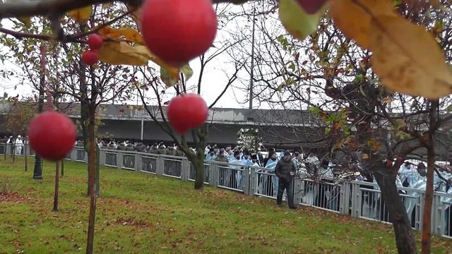 4.11.18 Казанский крестный ход смотреть онлайн