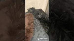 Воротники из натурального и искусственного меха