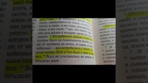 1194.Великаны и исполины.Кто мы и кто они?Правда о предках в текстах Библии и Корана.#грядущийцарь