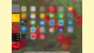 Мне подарили айпад!!Как поменять обои на устройствах iOS???