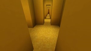 The Backrooms found footage but minecraft