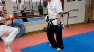 Простая работа на лапах в движении вперед.