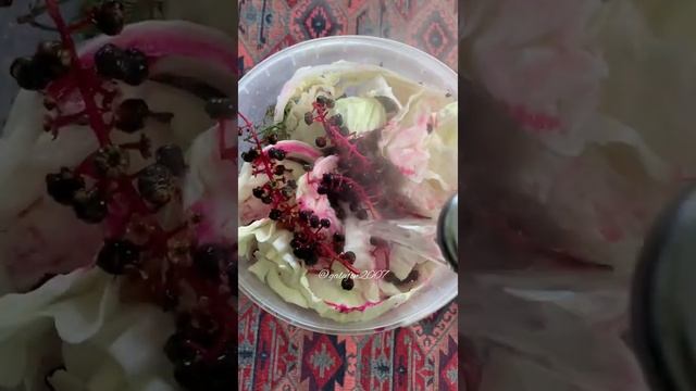 Соленья по-абхазски смотреть онлайн