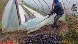 Усовершенствовали двери шторки на балаганы.