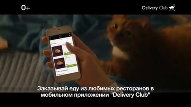 Delivery Club смотреть онлайн