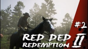 Red Dead Redemption 2 / # 2